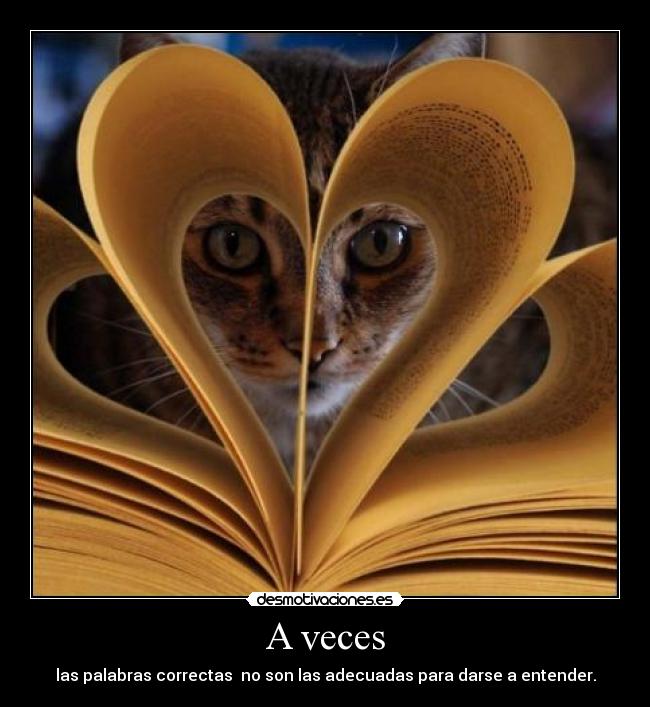 A veces - las palabras correctas no son las adecuadas para darse a entender.