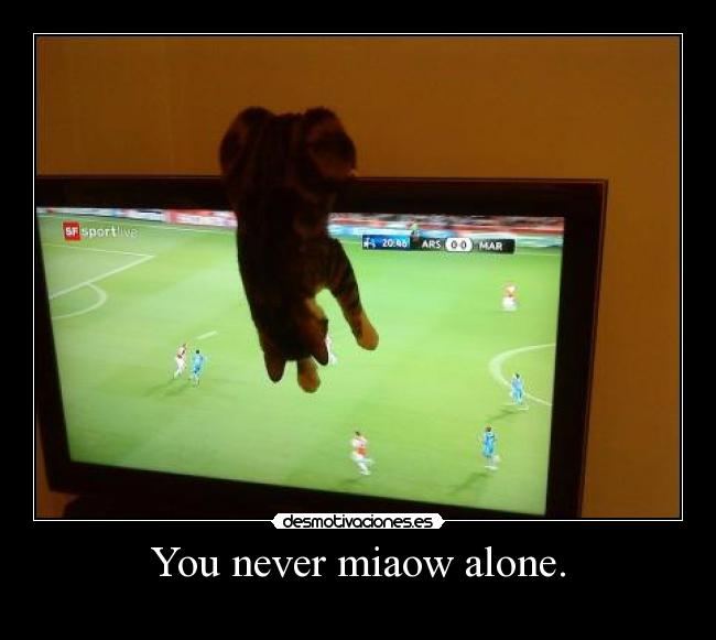 You never miaow alone. - 
