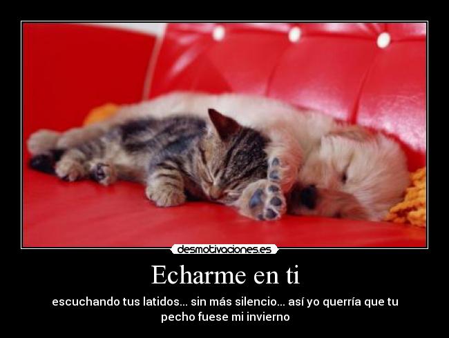 Echarme en ti -
