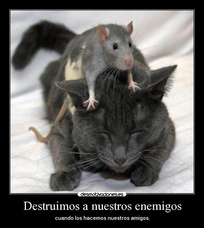 Destruimos a nuestros enemigos - cuando los hacemos nuestros amigos.
