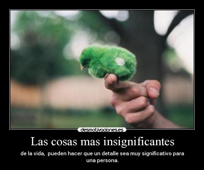 Las cosas mas insignificantes -