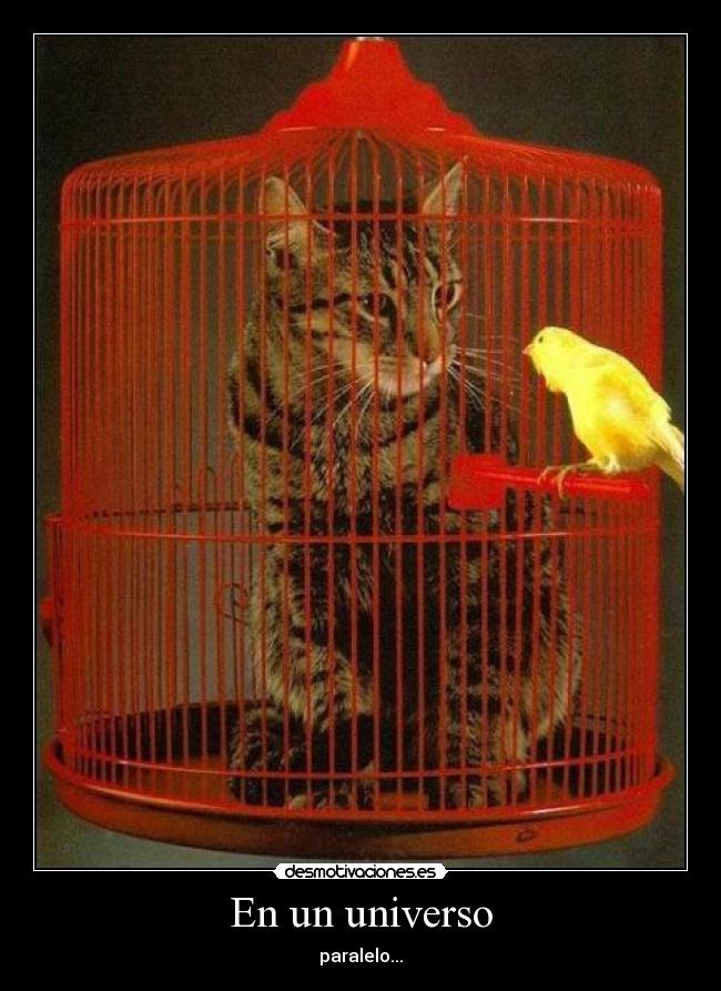 En un universo -