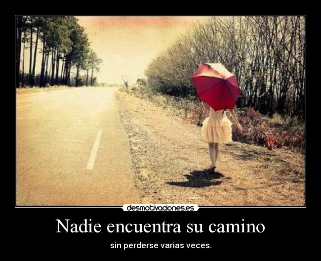 Nadie encuentra su camino -
