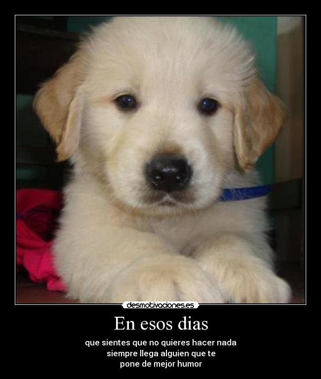 carteles kati desmotivaciones