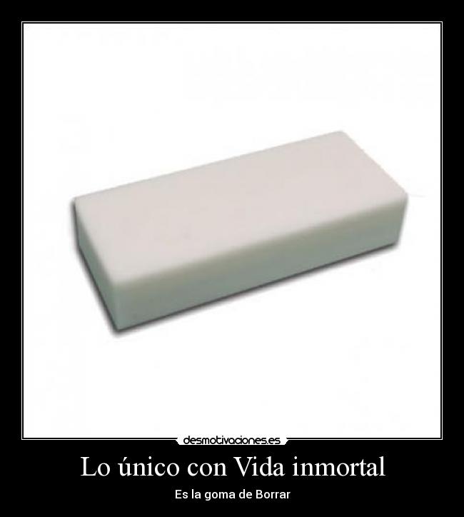 Lo único con Vida inmortal - 