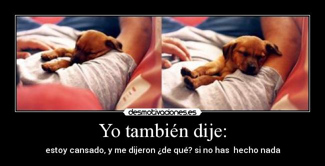 Yo también dije: - 