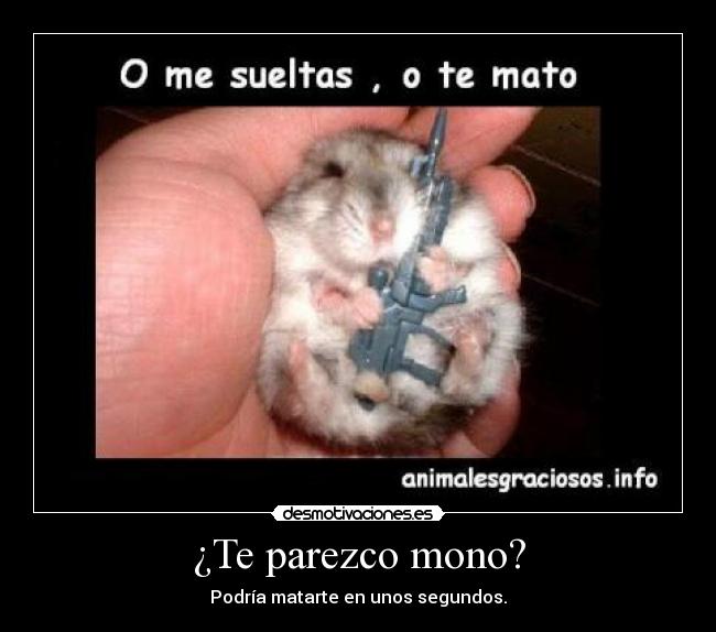 ¿Te parezco mono? - Podría matarte en unos segundos.