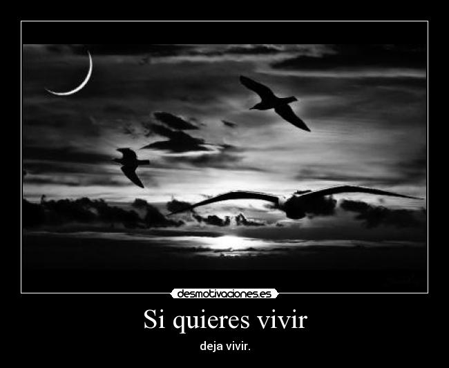 Si quieres vivir - 