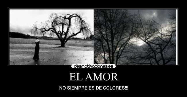 EL AMOR - 