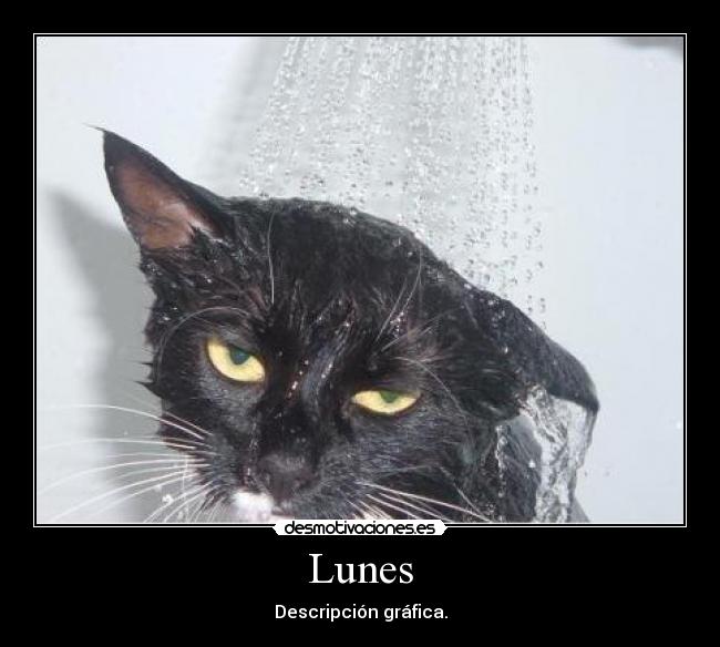 Lunes -
