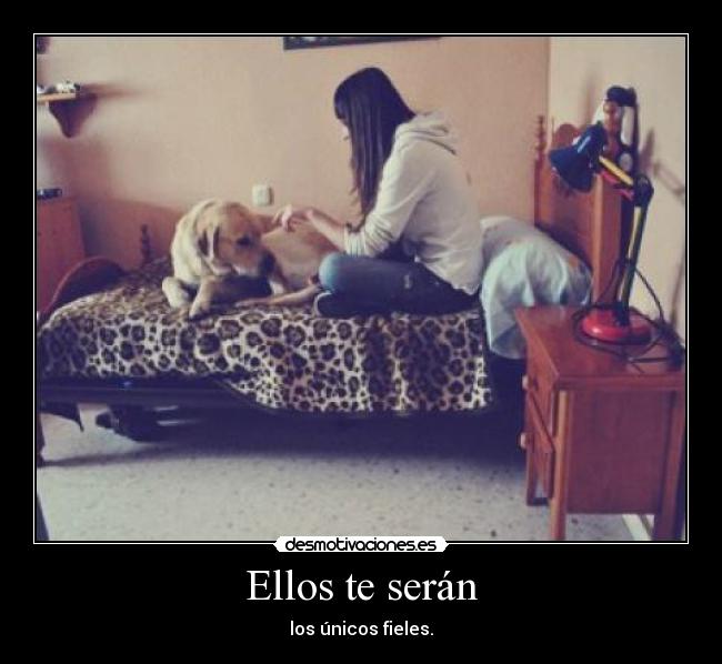Ellos te serán - 