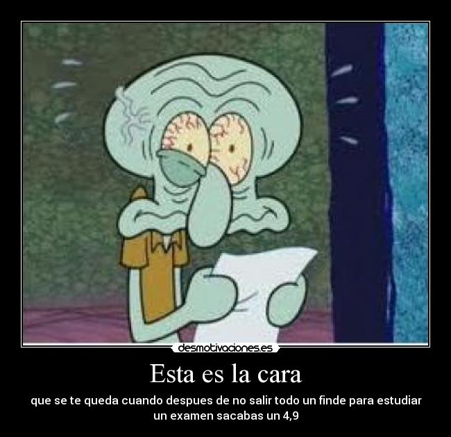 carteles calamardo desmotivaciones