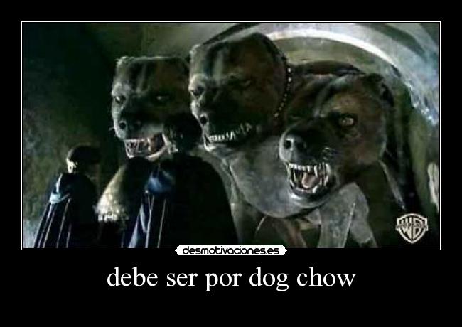 debe ser por dog chow -