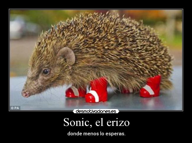 Sonic, el erizo -