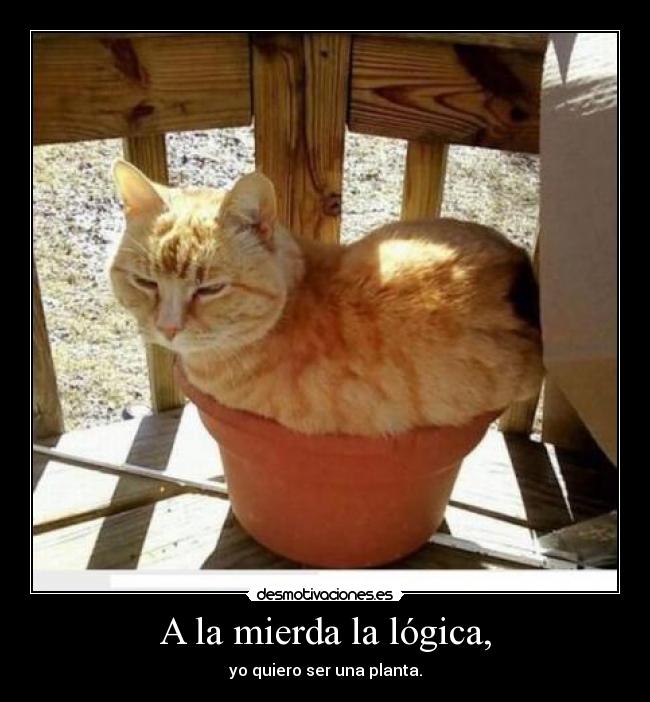 A la mierda la lógica, - yo quiero ser una planta.