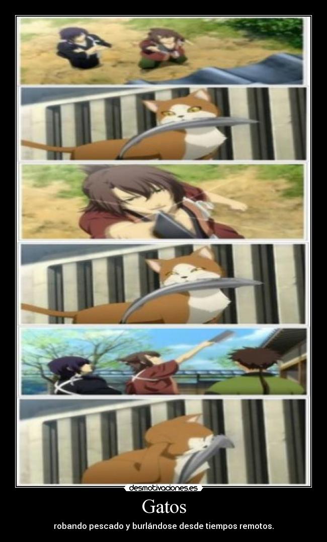 Gatos -