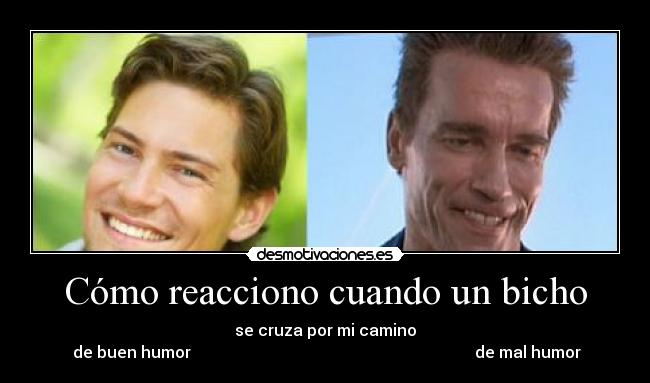 carteles desmotivaciones