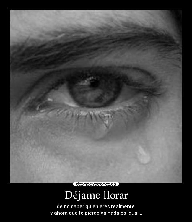 Déjame llorar - de no saber quien eres realmente 
y ahora que te pierdo ya nada es igual...