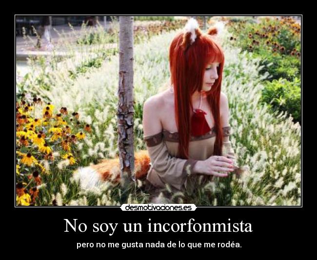 No soy un incorfonmista - pero no me gusta nada de lo que me rodéa.