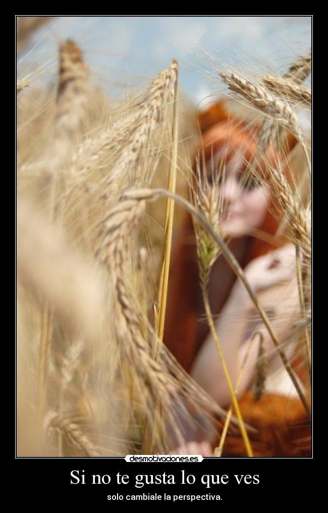 Si no te gusta lo que ves - solo cambiale la perspectiva.