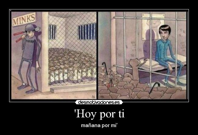 Hoy por ti - mañana por mi