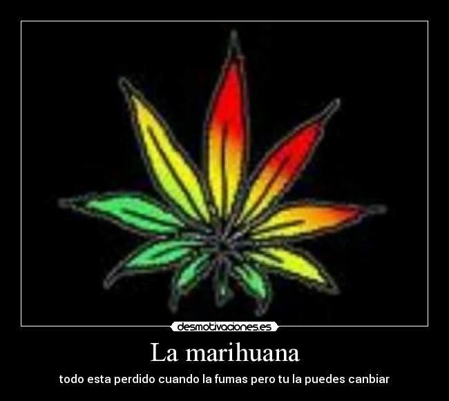 La marihuana - todo esta perdido cuando la fumas pero tu la puedes canbiar