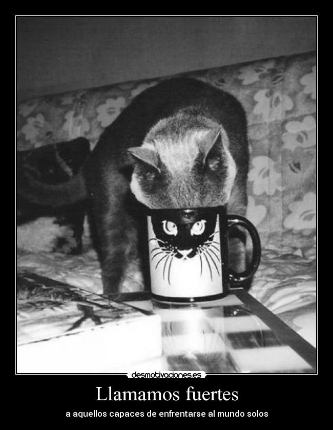 Llamamos fuertes -