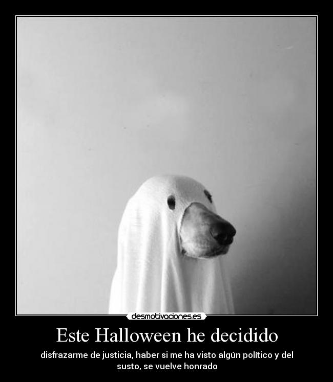 Este Halloween he decidido - disfrazarme de justicia, haber si me ha visto algún político y del
susto, se vuelve honrado