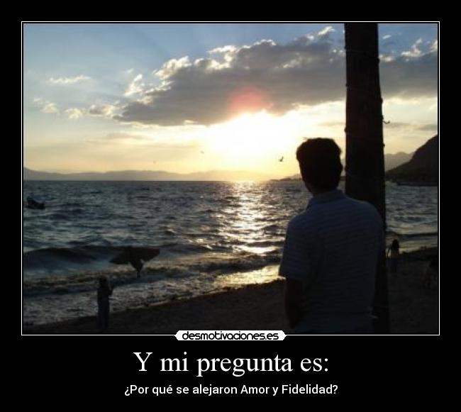 carteles amor fidelidad desmotivaciones desmotivaciones