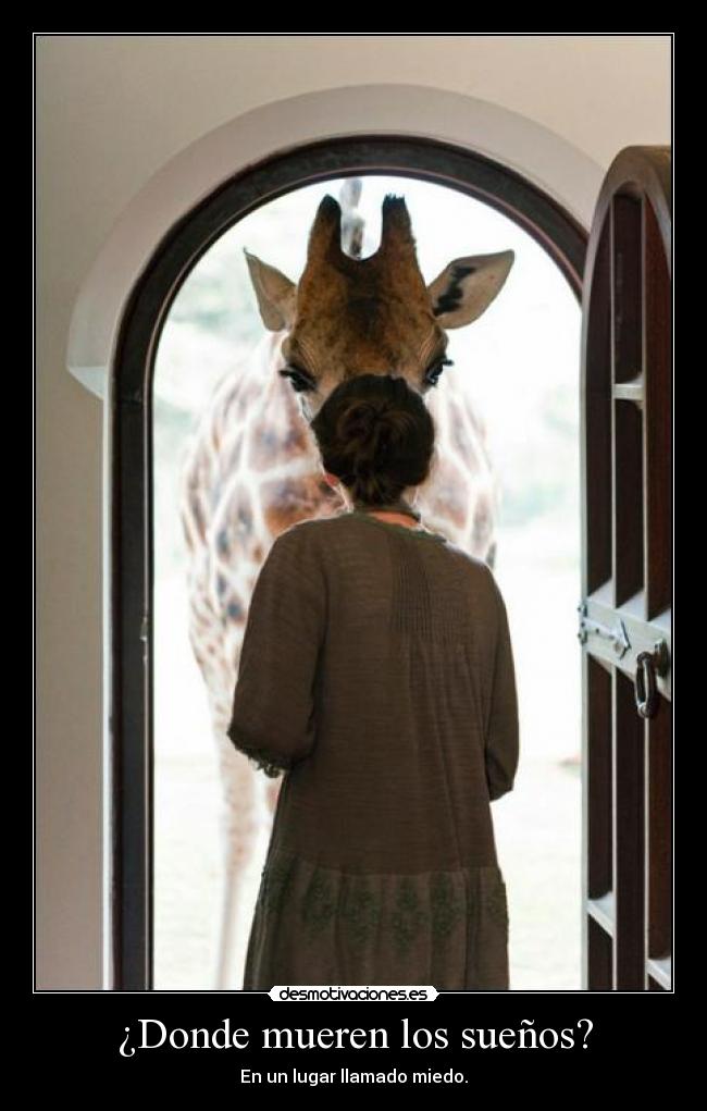 ¿Donde mueren los sueños? -