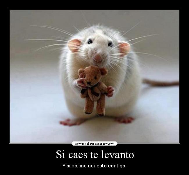 Si caes te levanto - Y si no, me acuesto contigo.
