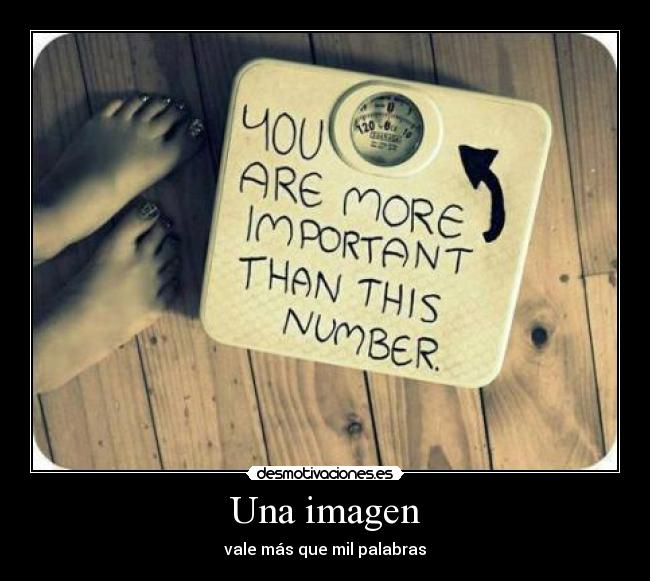 carteles imagen palabras gorda flaca pesar desmotivaciones