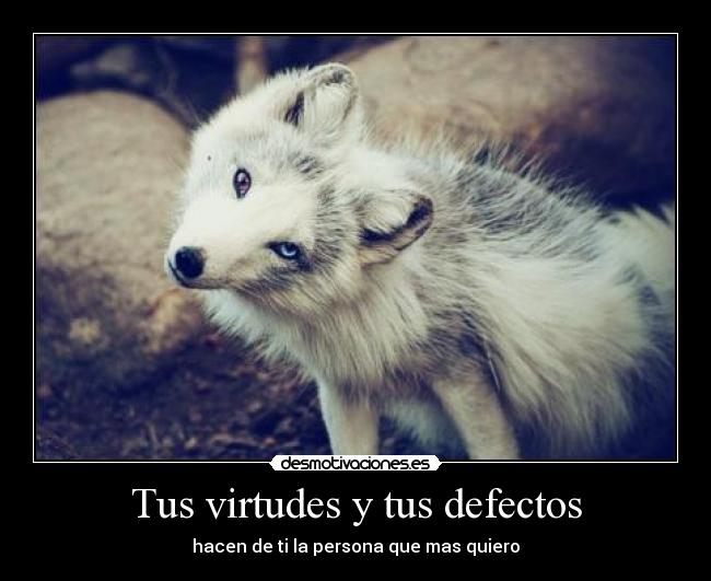 Tus virtudes y tus defectos -