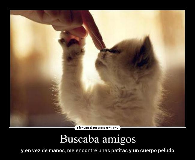 Buscaba amigos -