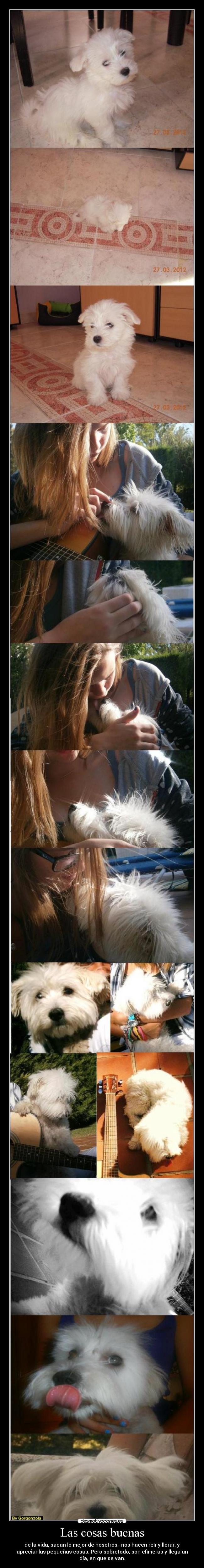 Las cosas buenas -