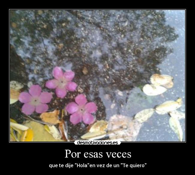 Por esas veces - que te dije Holaen vez de un Te quiero