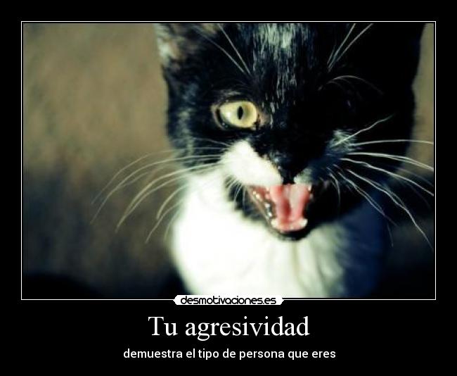 Tu agresividad - 