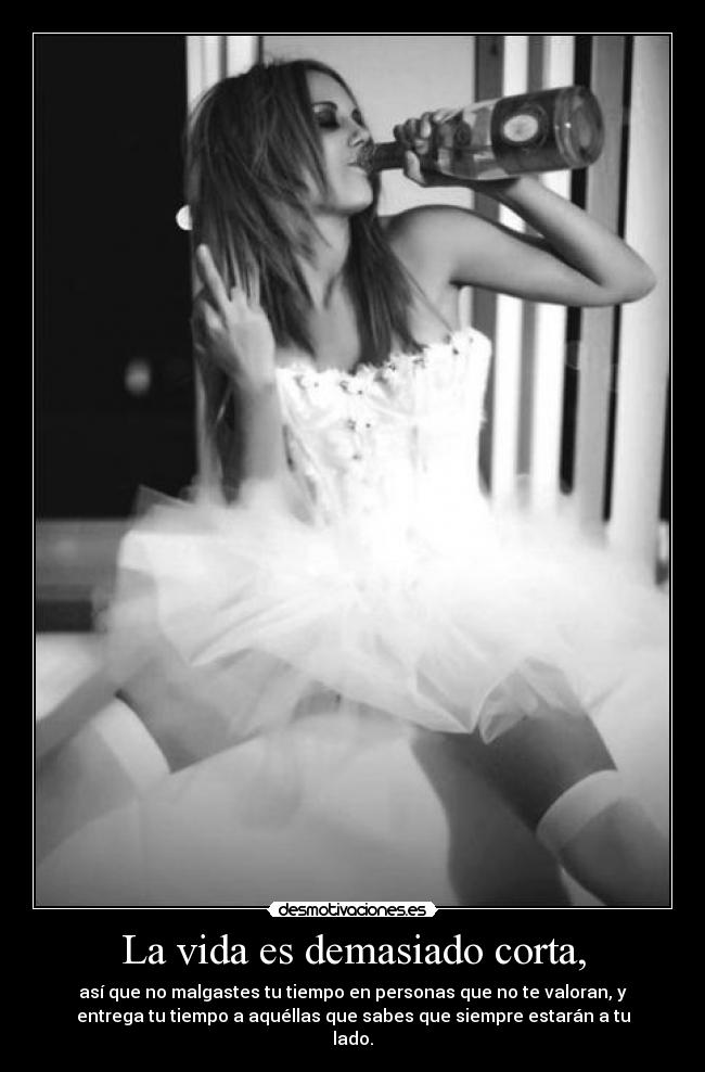 carteles vida vida desmotivaciones