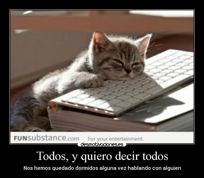 Todos, y quiero decir todos - 