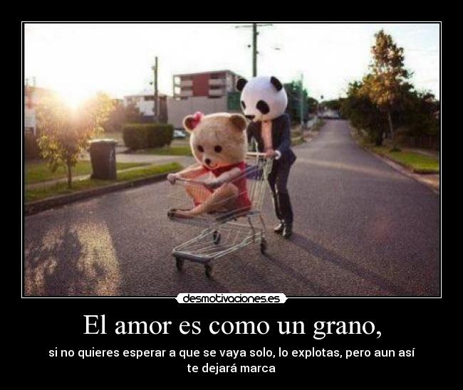 carteles amor lol mierda cartel votarme desmotivaciones