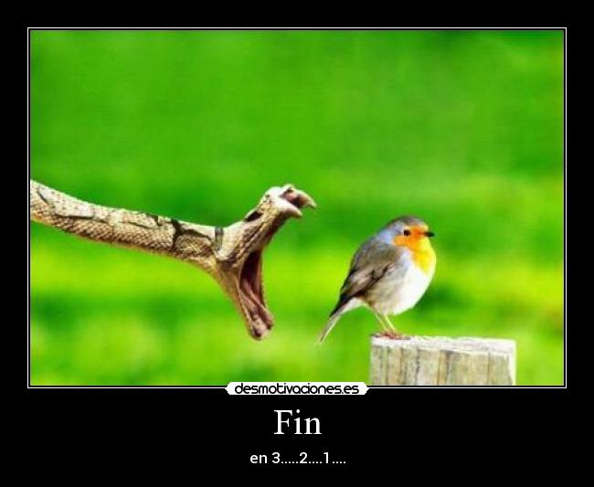 Fin - en 3.....2....1....