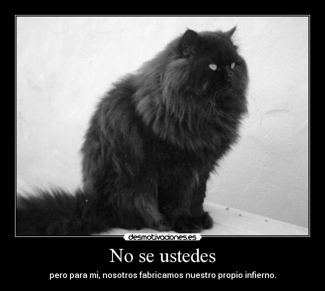 No se ustedes - 