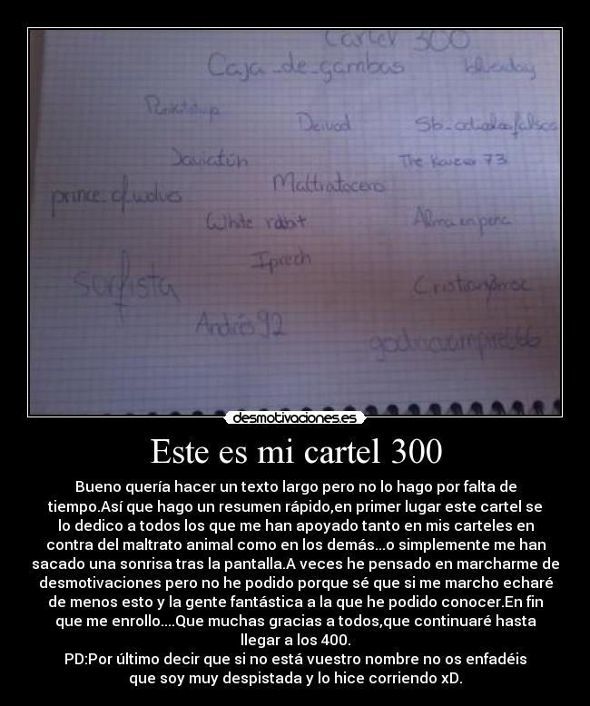 Este es mi cartel 300 -