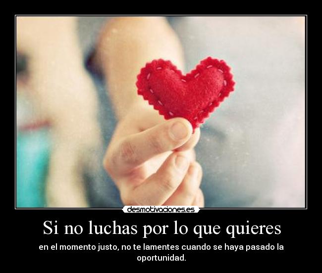 Si no luchas por lo que quieres - en el momento justo, no te lamentes cuando se haya pasado la oportunidad.
