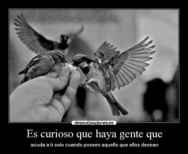 Es curioso que haya gente que - acuda a ti solo cuando posees aquello que ellos desean