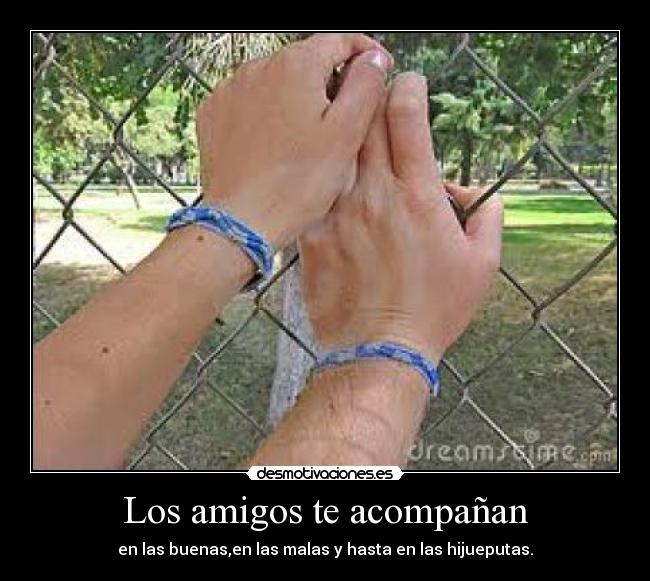 Los amigos te acompañan - en las buenas,en las malas y hasta en las hijueputas.