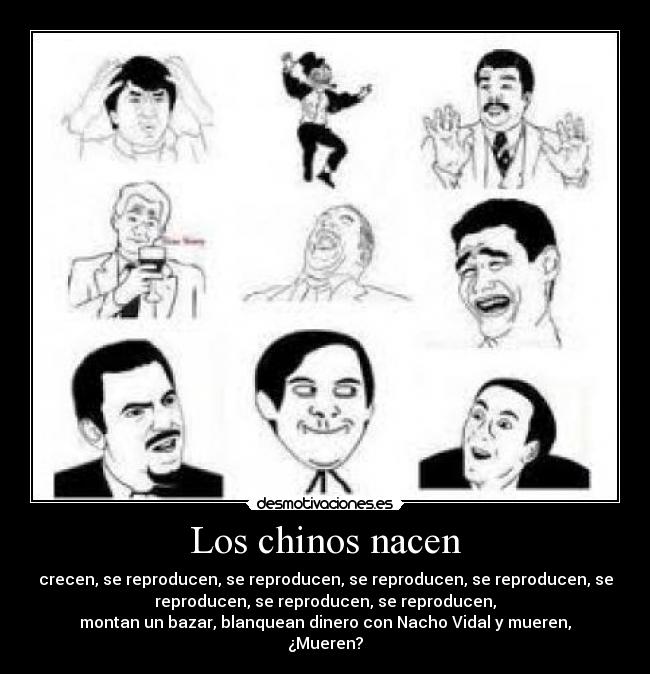 Los chinos nacen - 