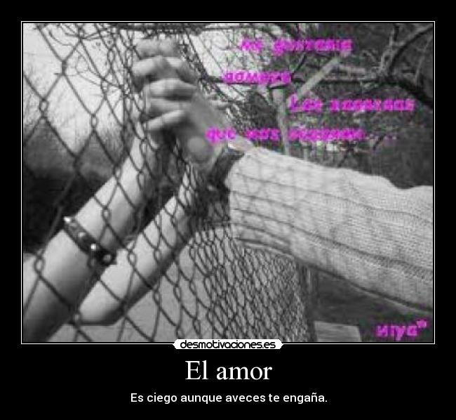 El amor -
