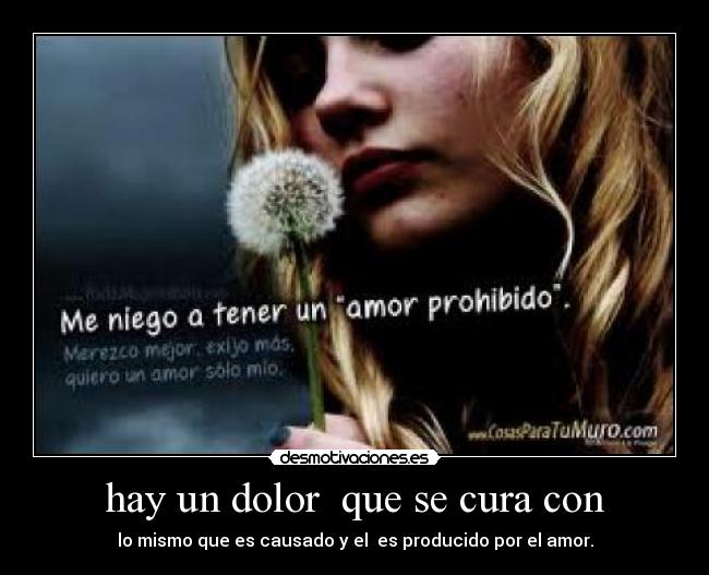 carteles dolor hay dolor que cura con mismo que causado producido por amor desmotivaciones