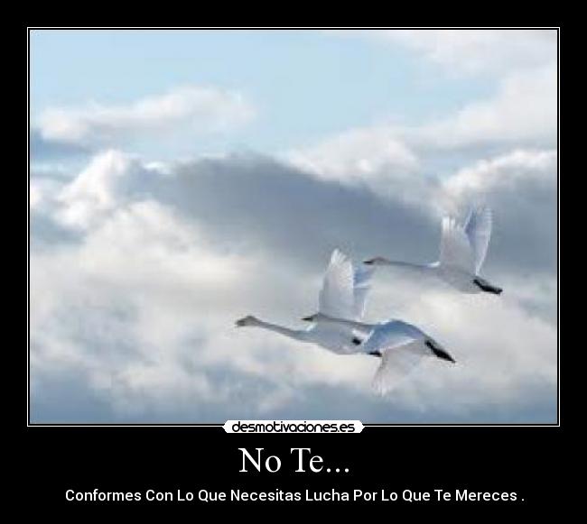 No Te... - 